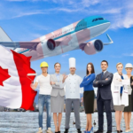What Makes a Good Immigration Consultant?